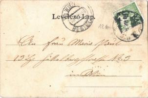 1905 Sopron, látkép. Kummert L. utóda kiadása (b)