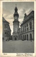 Sopron - 10 db régi városképes lap / 10 pre-1945 town-view postcards