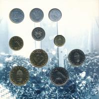 1996. 10f-100Ft (10xklf) "Magyarország pénzérméi" forgalmi sor dísztokban. A belső tokon a...