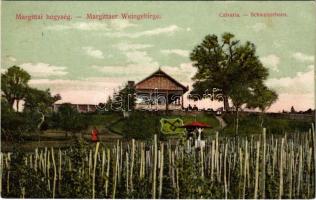 1909 Margitta, Marghita; Margittai-hegység, szőlőhegy, Calvaria villa / Margittaer Weingebirge, Schweizerhaus / vineyard, wine house