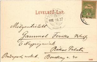 1906 Borszék, Borsec; Emmaus Villa