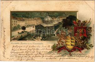 1901 Bad Wildbad, Partie bei der Trinkhalle. Passepartoutkarte Art Nouveau, Emb. litho with coat of arms (fl)