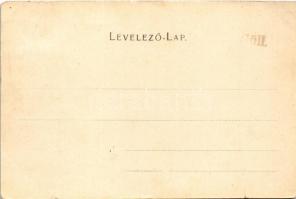 Nagyszalonta, Salonta; Vasúti út, Czinczár Mór üzlete. Reich Jakab kiadása / street, shop