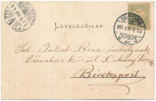 1905 Nagyszalonta, Salonta; Részlet a Piac-térről az Arany Emléktoronnyal, zsinagóga. Fábián L. Dezs...