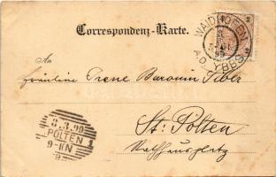 1899 (Vorläufer) Waidhofen an der Ybbs, general view (tear)