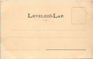 Papfalva, Lapfalva, Popesti; Határszél Magyarország és Bukovina között. Mayer és Berger kiadása / bo...