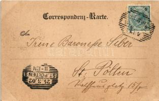 1902 Weitra, Oberer Platz / square, market (fl)