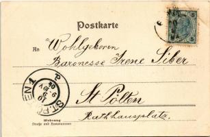 1904 Gaming, Karthause / Carthusian monastery (EK)