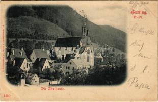 1900 Gaming, Die Karthause / Carthusian monastery