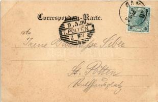 1900 Gaming, Die Karthause / Carthusian monastery