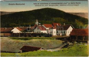 1926 Marosújvár, Uioara, Ocna Mures, Ocnele Muresului; Intézkedő és &quot;Lux&quot; mozgószínház, mozi, háttérben a Bárcza hegy, vasút, gőzmozdony, vonat. Filip Banciu / railway, cinema, train, locomotive