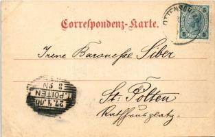 1900 Ottenschlag, street view, castle, general view. Art Nouveau (fl)