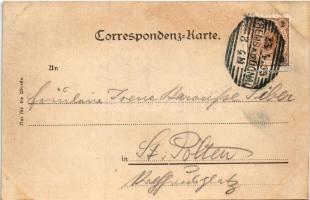 1899 (Vorläufer) Stein an der Donau (Krems), Danube riverside (fl)