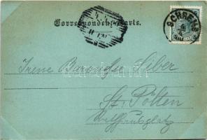 1900 Schrems, Der Schlossplatz / castle (EK)