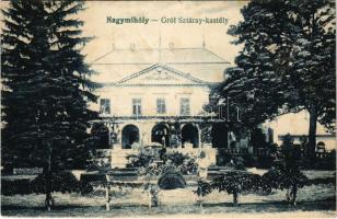 Nagymihály, Michalovce; Gróf Sztáray kastély / castle (fl)