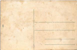 Nagymihály, Michalovce; Gróf Sztáray kastély / castle (fl)