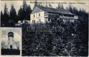 1908 Zlaté Hory, Zuckmantel; Bischofskoppe, Schutzhaus Rudolfsheim, Kaiser Franz Josef Warte / Biskupská kupa / lookout tower, rest house (EB)