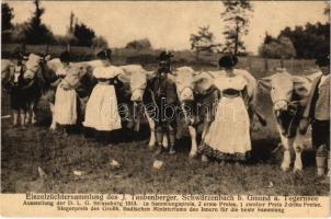 Schwärzenbach b. Gmund am Tegernsee, Einzelzüchtersammlung des J. Taubenberg / breed fair and show