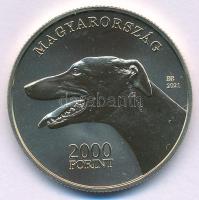 2021. 2000Ft Cu-Ni-Zn "Magyar Agár" kapszulában T:P