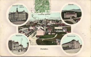 Holesov with sokolovna and castle