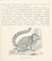 Vángel Jenő: Nagy képes természetrajz a hazai művelt közönség számára. I?II. rész. (Egybekötve). I. ...