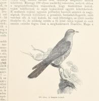 Vángel Jenő: Nagy képes természetrajz a hazai művelt közönség számára. I?II. rész. (Egybekötve). I. ...