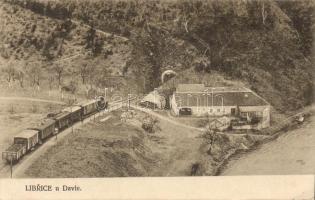 Librice train and tunnel