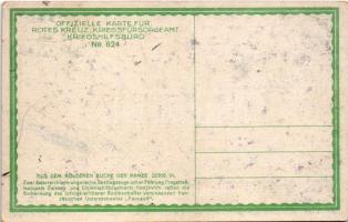 Zwei österreichis-ungarische Seeflugzeuge... K.u.K. Kriegsmarine, Aus dem goldenen Buche der Armee S...