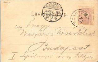 1899 (Vorläufer) Szabadka, Subotica; Park és Törvényszéki palota. Wilheim Samu kiadása / park, court...