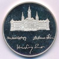 Lebó Ferenc (1960-) 1992. "Győr Kultúrájáért Alapítvány 1992" Ag peremen "SZG" j...