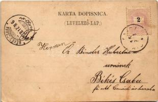 1899 (Vorläufer) Crikvenica, Cirkvenica; Kupaliste, Hotel, Crkva i ljeciliste za djecu / beach, bath...