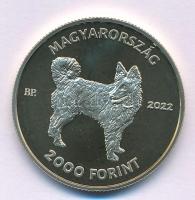 2022. 2000Ft Cu-Ni-Zn "Mudi" kapszulában T:P