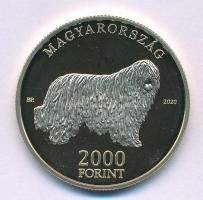 2020. 2000Ft Cu-Ni-Zn "Komondor" kapszulában T:P Adamo EM411