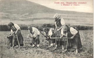 Slovakian folkwear, folklore women hoeing