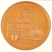 Kiss Sándor (1925-1999) 1991. "II. János Pál pápa / A Szentatya Szombathelyen 1991. aug. 19.&qu...