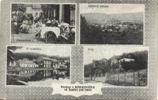 Hodkovice with villas and Restaurant Spacka pod lesem
