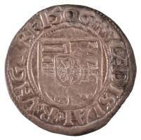 1506K-H Denár Ag "II. Ulászló" (0,56g) T:AU patina Hungary 1506K-H Denar Ag "Wladisla...