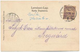 1901 Eszék, Essegg, Osijek; Zupanyska ulica / Comitatsgasse / utca, zsinagóga, piac / street, synago...