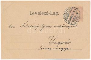 1899 (Vorläufer) Karánsebes, Caransebes; Izraelita templom, zsinagóga, Radetzky utca, piac. Perlfast...