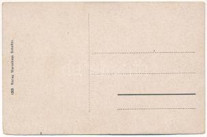 Vatra Dornei, Dornavátra, Bad Dorna-Watra (Bukovina); Isr. Tempel, Kurparkhotel, Kurhaus, Waldparkho...