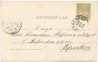 1903 Petrozsény, Petrosani; Dr. Rosenberg ház, Krausz József üzlete. Weisz Testvérek kiadása / villa...