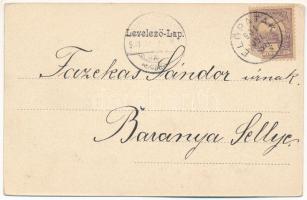 1901 Előpatak, Valcele; Goldstein Manó-féle villa / villa (EK)