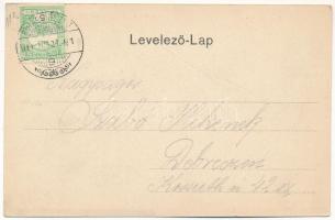 1911 Bihardiószeg, Diosig; Veisz Jakab ház, Veisz és Társai gőzmalma, Klein Mór háza, üzlete és sajá...