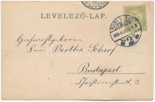 1903 Nagyvárad, Oradea; Körös részlet, zsinagóga. Sonnenfeld Adolf kiadása / Cris riverside, synagog...