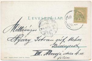 1904 Somorja, Somorin, Samorín; Gőzmalom és gőzfürdő, Háromság szobor, kaszárnya, Fő tér, Goldstein ...