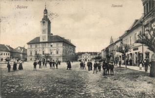 Susice with guesthouse and museum (EB)