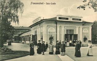 Frantiskovy Lazne, Franzensbad; Salz-Quelle / salt spa