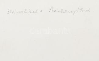 1940 Budapest, A városligeti Széchenyi hídnál télen, Reich Péter Cornel feliratozott fotója, szép ál...