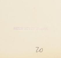 cca 1940 Budapest, a Rómaifürdő vadregényes része, Reich Péter Cornel feliratozott és pecséttel jelz...