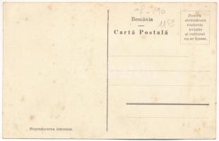 Koltó, Coltau; Cornul lui Petőfi / A Petőfi somfa / dogwood tree (Cornus) (fl)